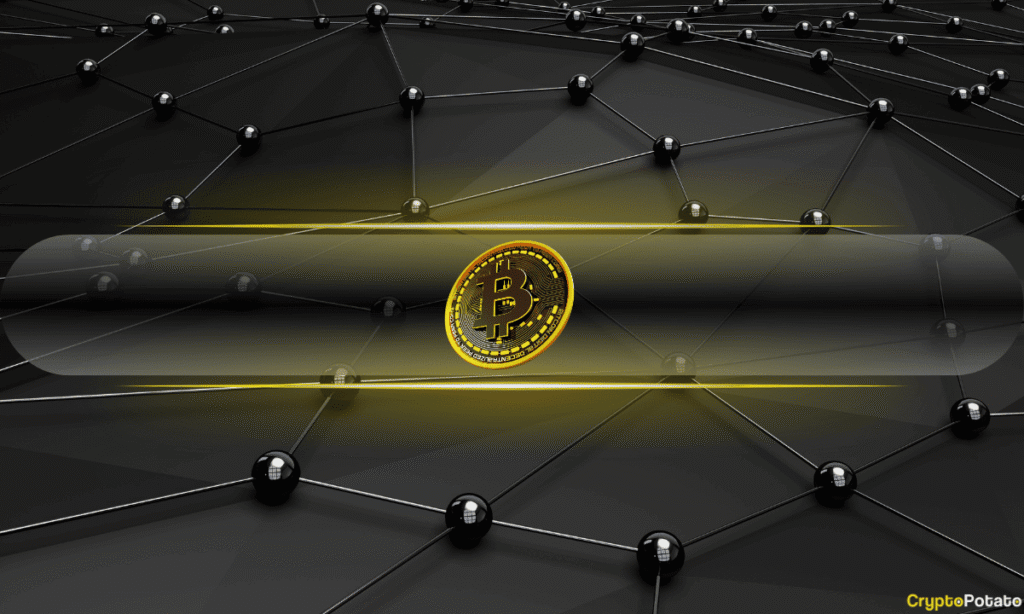 Bitcoin Risks Becoming a Settlement Layer With Nothing to Settle: Galaxy Sounds Alarm