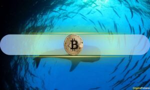 Historical Data Hints at Upward Price Momentum