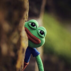 Investor Sues Pepe Meme Creator Over Role in North Korean NFT Hack