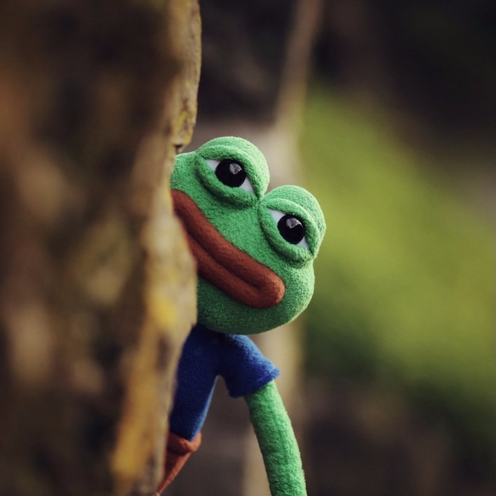 Investor Sues Pepe Meme Creator Over Role in North Korean NFT Hack